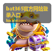 bat365官方网站登录入口 异常登录记录排查示意